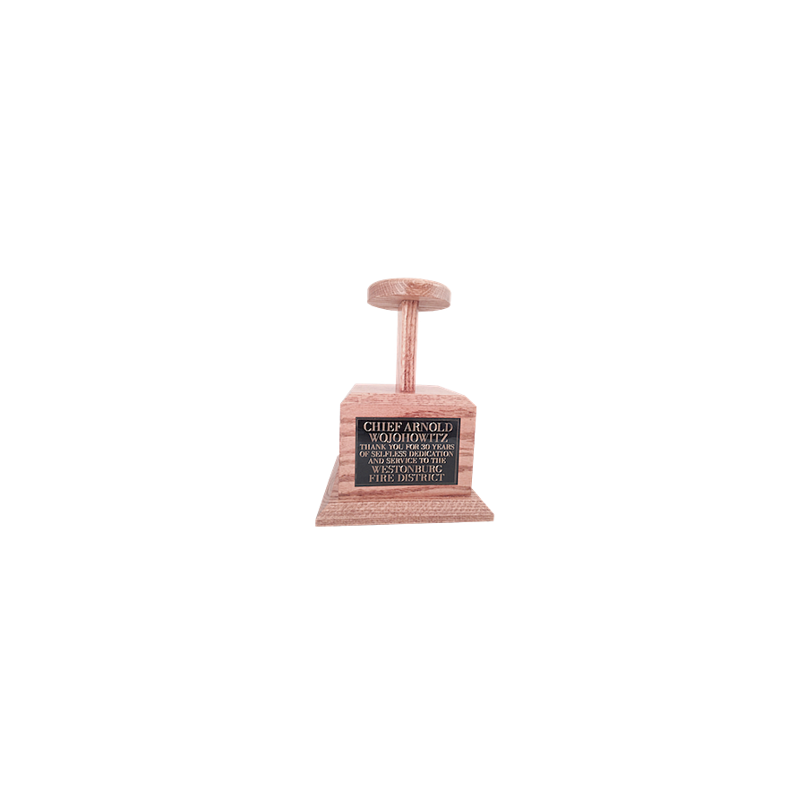 Helmet Stand Display w/ Plaque Conway Shield 1
